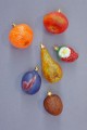 Fruit Set